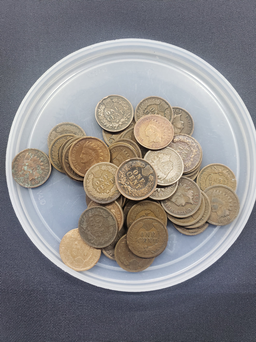 50 Count Indian Head Cents